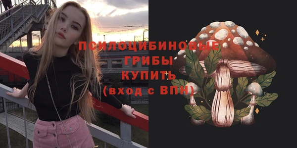 СК Арсеньев