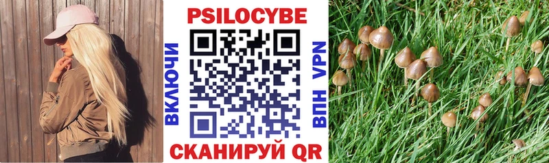 сайты даркнета Telegram OMG рабочий сайт Ленинск Галлюциногенные грибы мухоморы